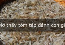 mơ thấy tôm tép