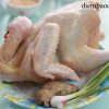 Nằm mơ thấy ăn thịt gà là điềm báo gì? Đánh đề con gì? Số mấy?